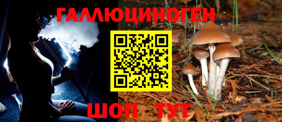 Псилоцибиновые грибы GOLDEN TEACHER  Вход с VPN  Славгород 
