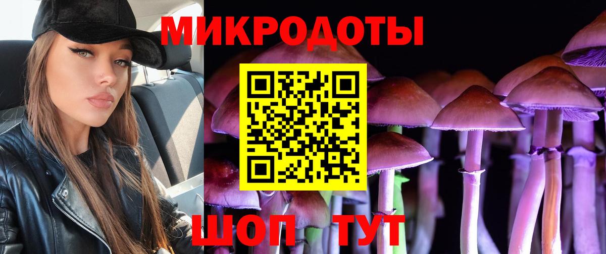 Псилоцибиновые грибы Psilocybine cubensis Славгород